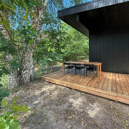 Modern Architecture Meets Untamed Nature *