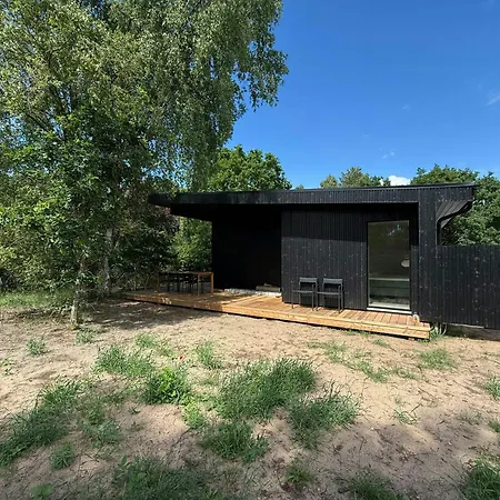 Modern Architecture Meets Untamed Nature *